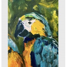 “Love Parrots”  oil painting on canvas 30*40 cm 